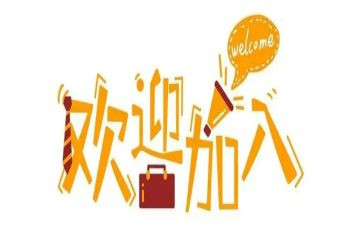 新人转正工作总结推荐5篇