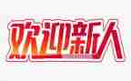 新人进公司年终总结优质5篇