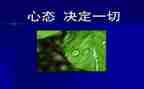 积极心态演讲稿6篇