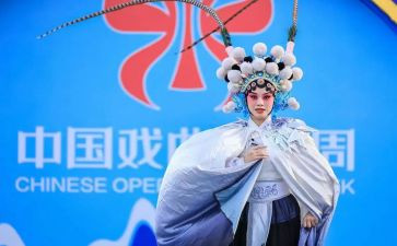 关于戏曲类的作文7篇