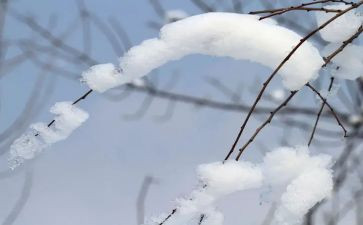 雪300字作文参考8篇