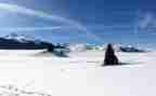 雪的故事读后感400字最新5篇
