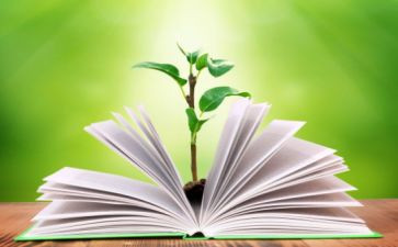 四年级的数学教学工作总结模板6篇