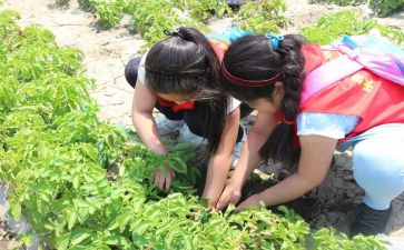 军训学农心得体会5篇