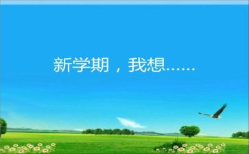 个人学期总结总结模板6篇