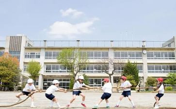 学生调查报告精选6篇
