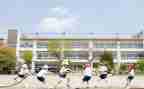 学生调查报告精选6篇