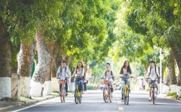 干学生会心得体会推荐7篇