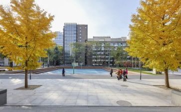 学校安全教案模板7篇
