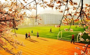 学校自查报告8篇