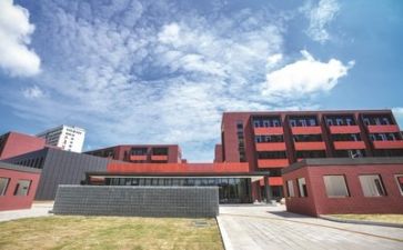 学校的工作总结和计划模板5篇