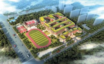 学校管理工作个人总结6篇