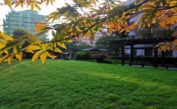 学校2023安全工作计划最新8篇
