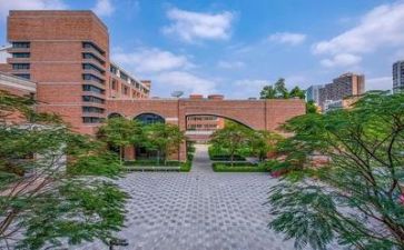 学校财务组工作计划模板6篇