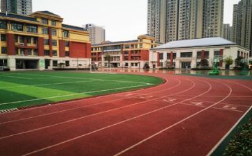 学校篮球比赛活动总结7篇