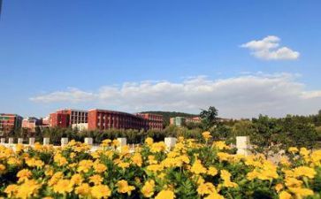学校培训教师工作计划模板5篇