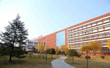 学校培训科工作计划推荐8篇