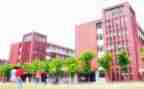 学校自查工作报告通用6篇