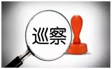 巡察组述职报告5篇