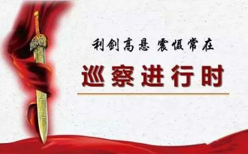 巡察12工作计划5篇