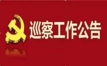 被巡察工作报告6篇