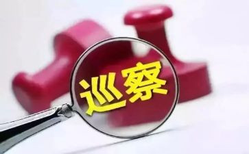 巡察干部个人述职报告8篇