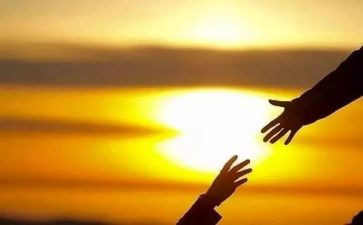 《寻找鱼王》读后感优秀7篇