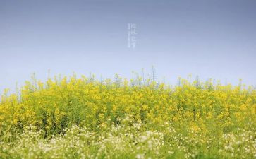 生命叙事作文5篇