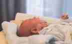 幼儿园小班蚕宝宝教案7篇