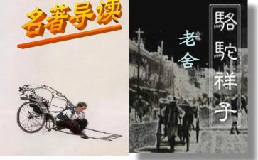 风的样子作文600字推荐8篇