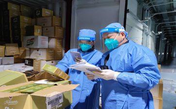 检验员工作总结报告6篇