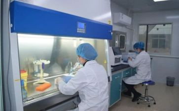 检验员试用期工作总结6篇