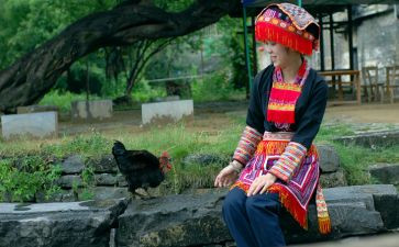 瑶族舞曲音乐课教案7篇