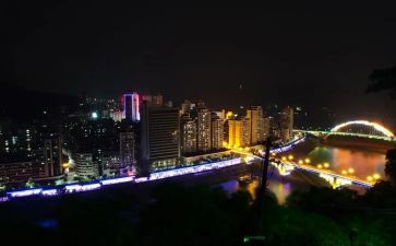 仲夏的夜作文模板6篇