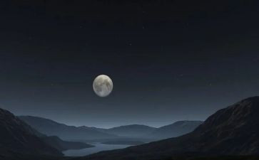 夜芭蕾观后感8篇