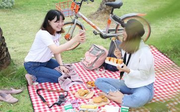 野餐节活动方案5篇