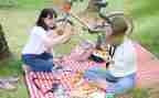 野餐节活动方案5篇