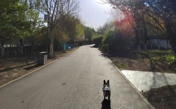 走一步在再走一步读后感模板5篇