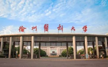 中医科个人年度总结6篇