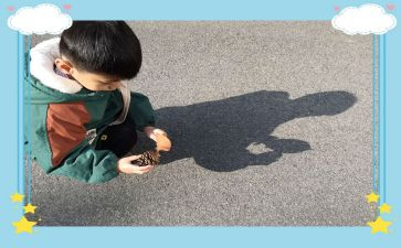 幼儿园影子画教案8篇