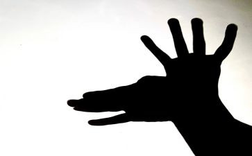 影子科学活动教案6篇