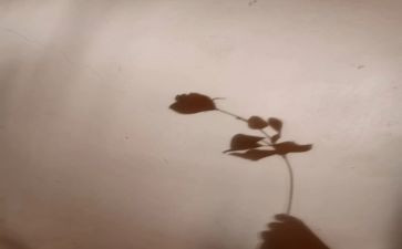 大班影子画教案模板6篇