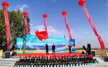 阅兵仪式800字观后感6篇