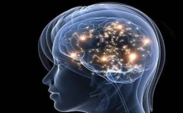 增强四个意识四个自信两个维护的心得体会7篇
