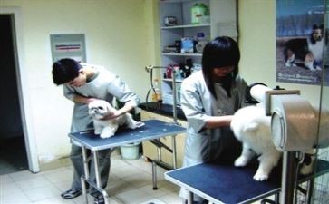 某医院工作总结模板5篇