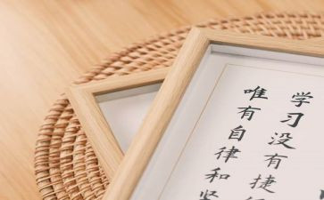 用心服务的心得体会7篇