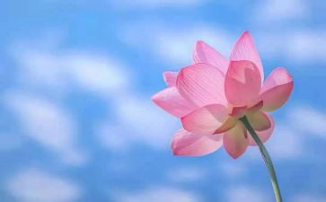 让爱永驻我心中演讲稿600字8篇