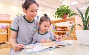 2024幼师心得体会优质8篇