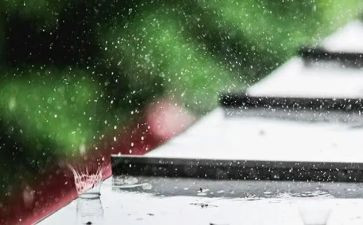 雨来作文200字推荐8篇