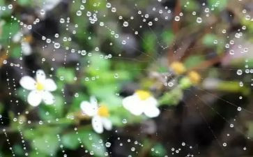 雨来作文500字优秀7篇